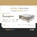 8.webp