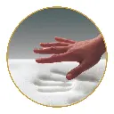 7.webp