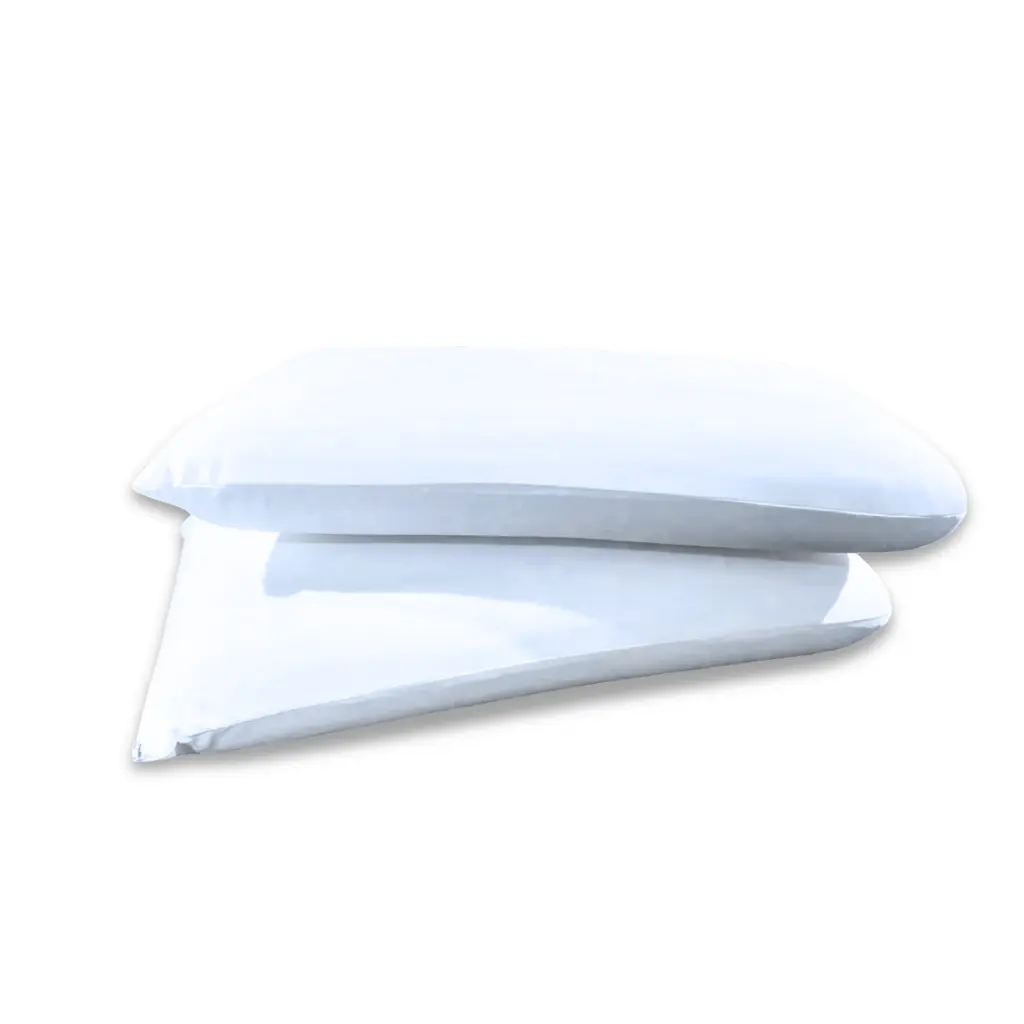 55.webp