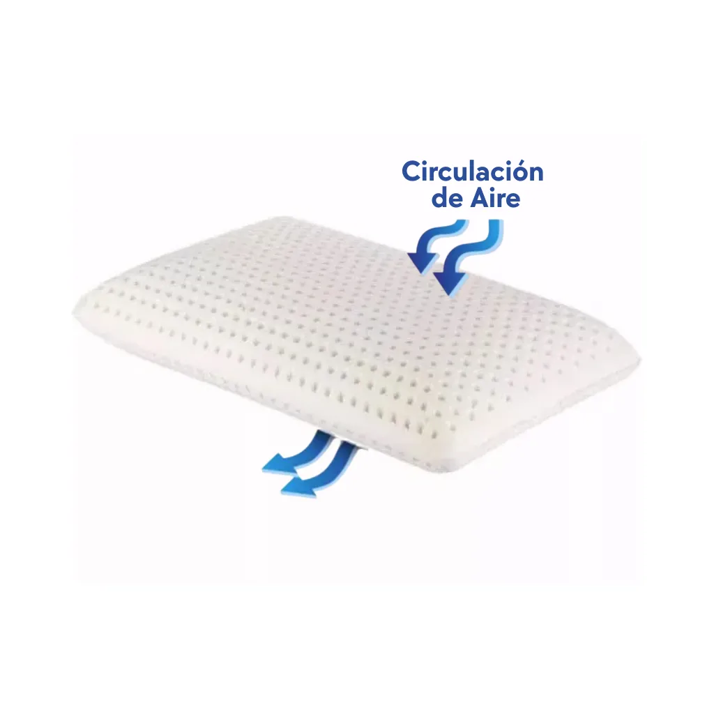 Circ Aire.webp